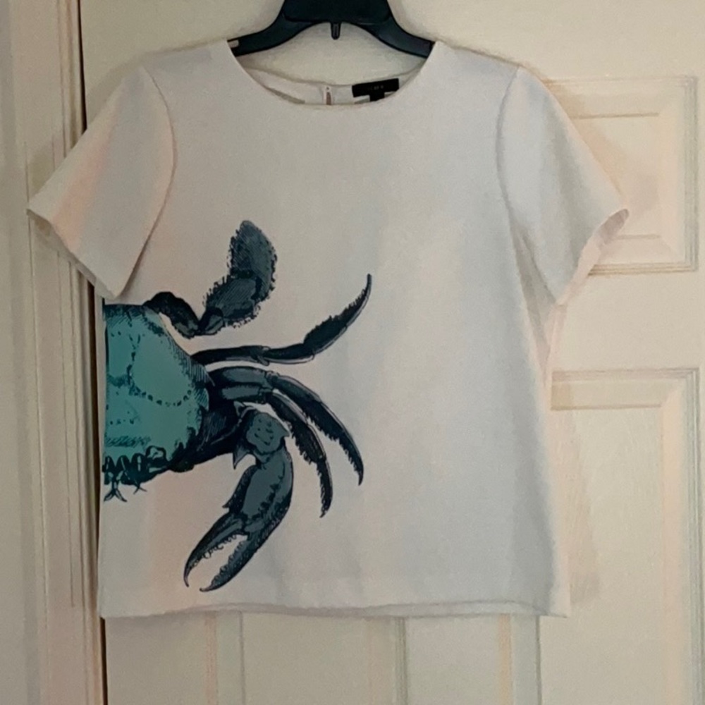 J. Crew Blue and White Boxy Short Sleeve T-Shirt